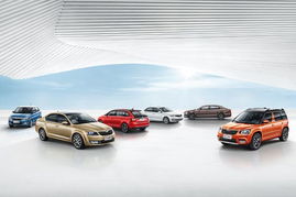 2014年中国汽车市场斯柯达品牌销量排名跃升十位